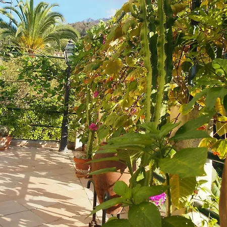 Apartment La Palmosa *