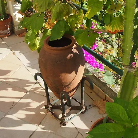 La Palmosa *