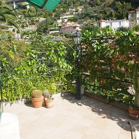 La Palmosa Daire